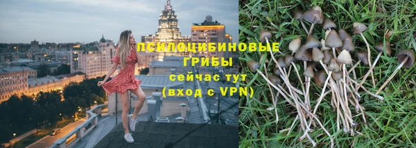 ешки Алексин