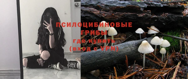 ешки Алексин