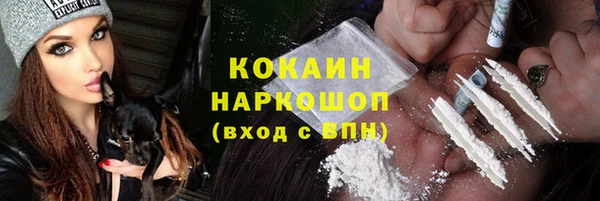 дживик Алзамай
